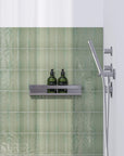 RVS doucherek badkamer